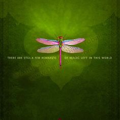 a pink dragonfly sitting on top of a green background with the words, there are few remains of magic left in this world