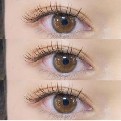 Eyelash Extensions Korean Styles, Eyelash Claims For Dr, Korean Lash Extensions, Eyelashes Extensions, Eyelash Perm, Girl Hair Colors