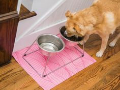 a brown dog eating out of a bowl on top of a pink mat next to stairs