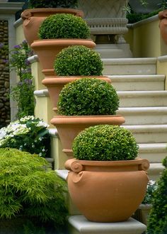 there are many potted plants on the steps