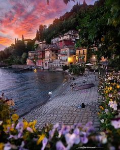 an image of a beautiful sunset over the water with flowers on the shore and buildings in the background