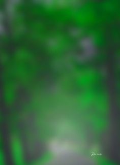 a blurry image of trees and grass in the woods with green light coming from them