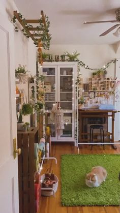 a living room filled with furniture and lots of plants