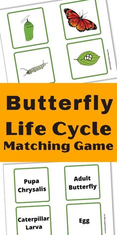 the butterfly life cycle matching game is shown in yellow and green with butterflies on it