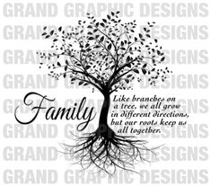 a family tree with roots and the words like branches on a tree we all grow in different directions, but our roots keep us together