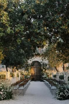 an instagram photo with chairs and flowers on the ground, in front of trees