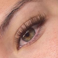 Brown eyelash extensions #eyelashes Natural Lash Extensions Brown, Classic Brown Lash Extensions, Brown Eyelash Extensions Natural, Dark Brown Eyelash Extensions, Brown Wispy Lash Extensions, Brown Classic Lash Extensions, Classic Eyelash Extensions Natural, Brown Lash Extensions Eyelashes