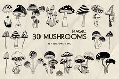 30 mushroom clipart designs for use in your design project