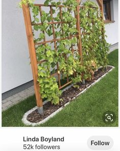 an image of a trellis in the grass with plants growing on it and below