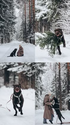 a woman playing with her dog in the snow