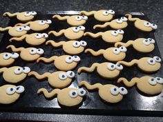 there are many cookies with googly eyes on the cookie sheet that have been made to look like dogs