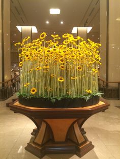 yellow flowers are in the center of a large planter on display at an airport