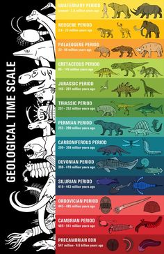 an illustrated poster with different types of dinosaurs and their names in each color scheme, including the