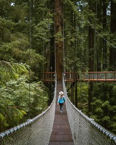 a woman walking across a suspension bridge in the forest