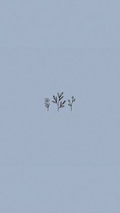 two small plants in the middle of a light blue sky with one plant growing out of it's center