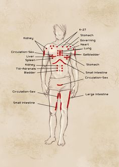 Punkty Spustowe, Shiatsu Massage Acupressure, Massage Therapy Techniques, Reflexology Massage, Cupping Therapy, Healing Touch, Shiatsu Massage, Energy Medicine, Acupuncture Points