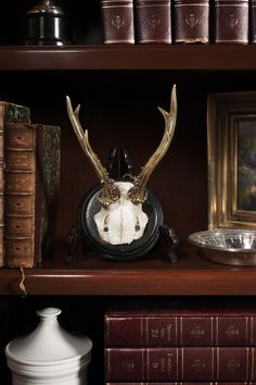 an antler's head is on top of a book shelf next to other books