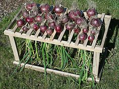 some radishes are sitting on a wooden crate in the grass, ready to be picked