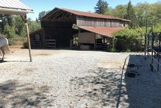 a horse is standing in front of a barn