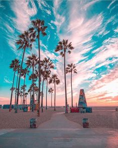 palm trees line the beach as the sun sets in front of an amusement park ride