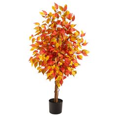 a potted plant with red and yellow leaves