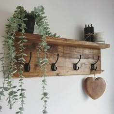 a wooden shelf with two hooks on it and a heart shaped potted plant next to it