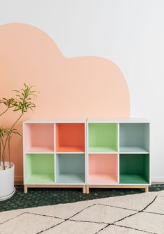 a plant in a pot on the floor next to a shelf with different colored shelves