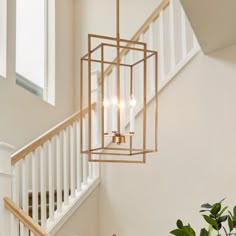 a chandelier hanging from the side of a staircase next to a potted plant