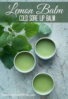 Cold Sore Lip, Time To Heal, Salve Recipes, Cold Sores