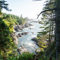 the ocean is surrounded by trees and rocks