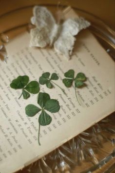 four leaf clovers laying on top of an open book with butterflies flying over them