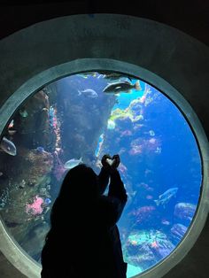 a person standing in front of an aquarium looking at the fish and other marine life