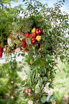 a bunch of fruit hanging from a tree with flowers and leaves on it's branches