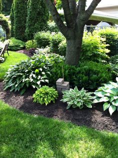 a garden filled with lots of different types of plants and trees in the middle of it