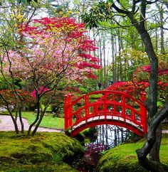 a red bridge over a small pond surrounded by trees