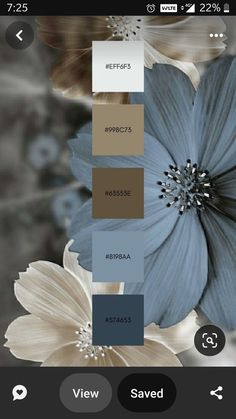 Color Design Inspiration, Color Schemes Colour Palettes, Nature Color Palette, Pallet Painting, Color Palette Design