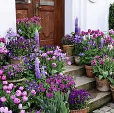 purple and pink flowers are in pots on the steps