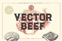 a book cover with different types of food and words that read, vector beef vol 3 0