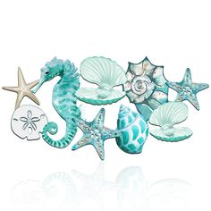 seahorses, starfish and seashells are arranged in a row on a white background