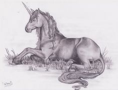 a pencil drawing of a unicorn laying in the grass