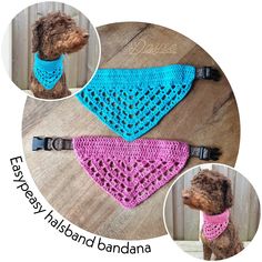 a dog wearing a pink and blue crocheted bandana on top of a wooden table