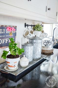 a kitchen counter with pots and plants on it