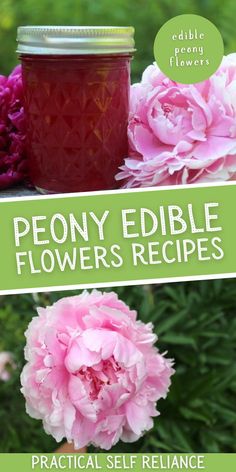 peony edible flowers recipe with text overlay