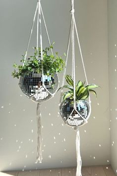 two hanging planters with plants in them