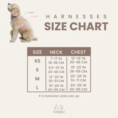 the size chart for a small dog that is wearing a pink collar and leash, with measurements