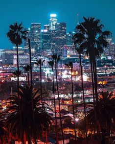 the city skyline is lit up at night, with palm trees and buildings in the foreground