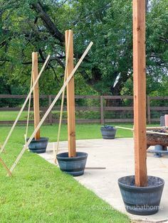 an outdoor area with potted plants and wooden poles