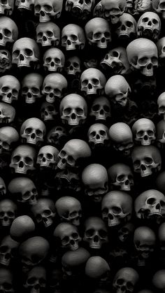 black and white photograph of many skulls