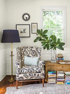 a living room filled with furniture and a potted plant