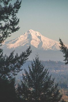 a snow covered mountain is seen through the trees